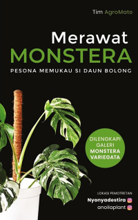 Image of Merawat Monstera Pesona Memukau si Daun Bolong