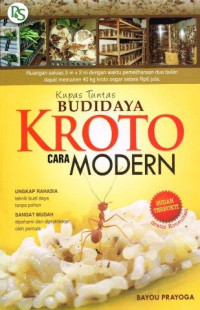 Budidaya Kroto Cara Modern